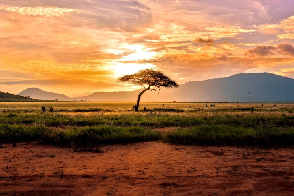 sunset in the serengeti
