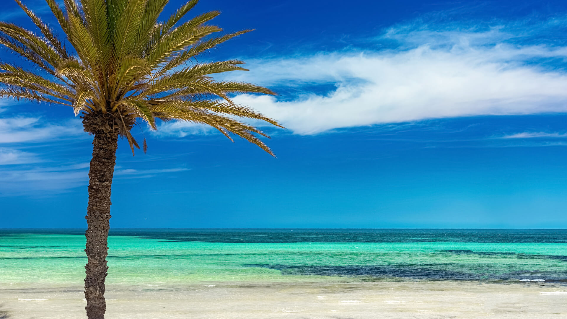 V60 Dripper in interior