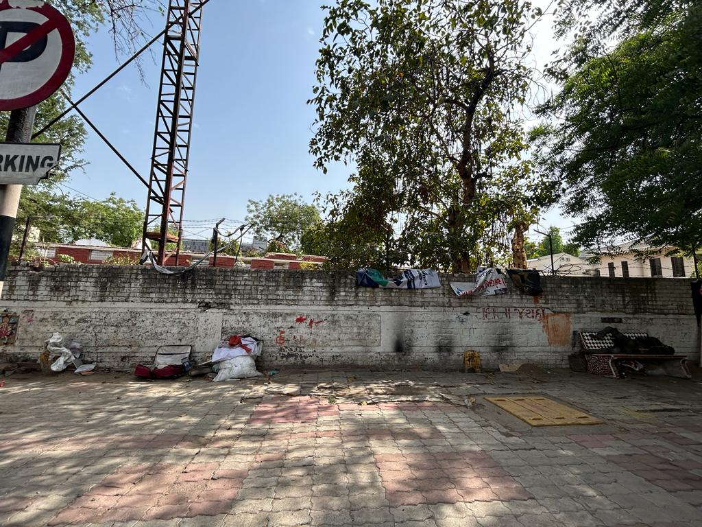 Modern home office setup with a monitor, ergonomic chair, keyboard, and indoor plants near a window with blinds.
