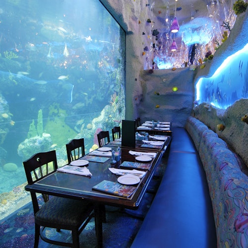 Downtown Aquarium Denver: Entry Ticket in Denver