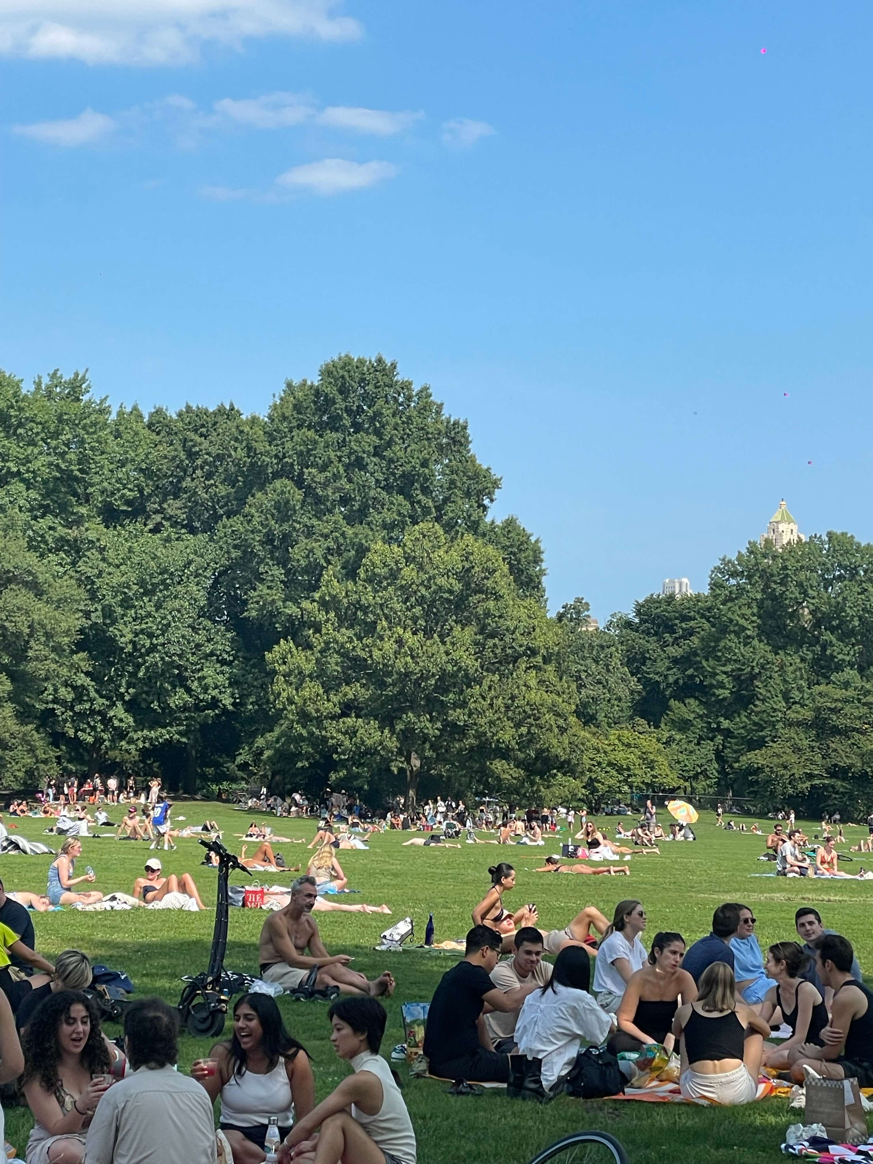 the great lawn at central park on a cloudless day filled with people sunbathing and having picnics