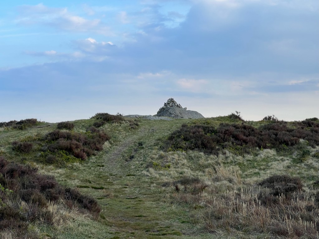 The cairn of Holme Fell at the top of a grassy path leading to it. Heather can be seed either side of the path.