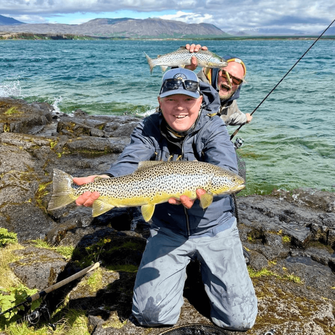 Island, Brown Trout, Arctic char, fjeldørred