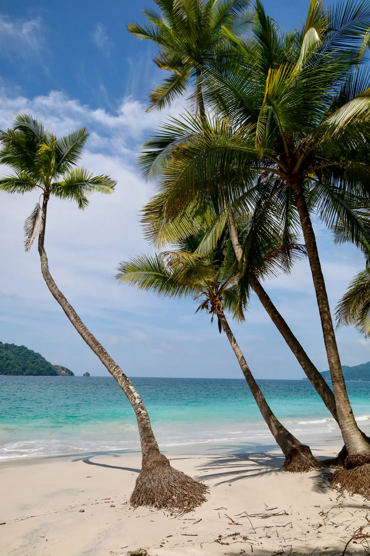 Leaning palm trees over the white sand and turquoise water of Playa Quesera in Curú Wildlife Refuge, Costa Rica