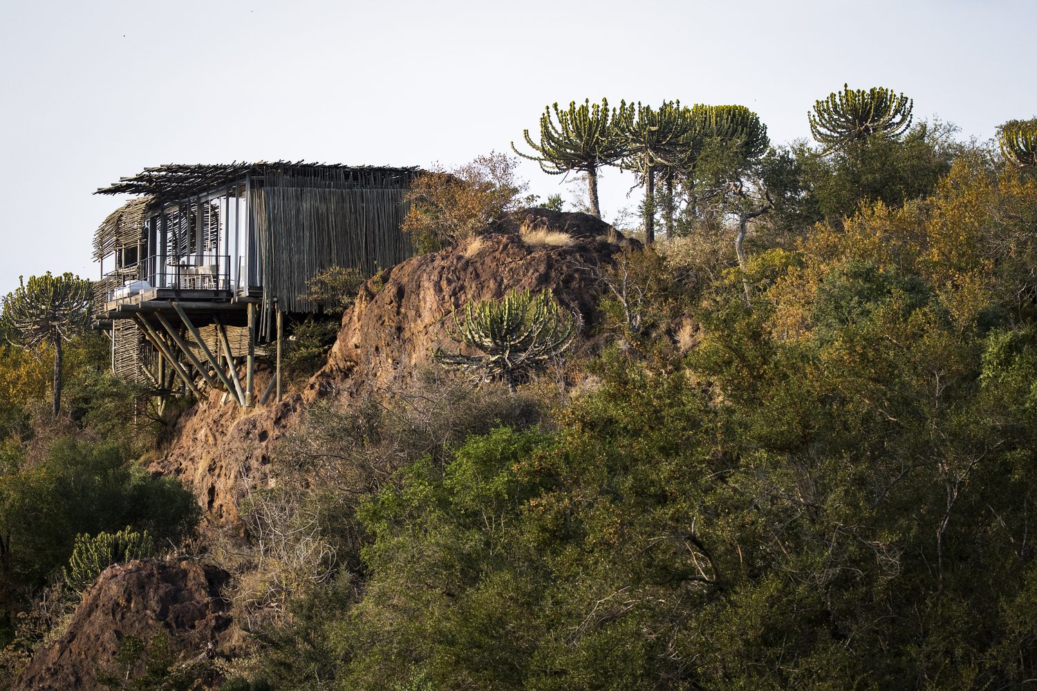 A glass-and-timber suite perched on a rocky ridge above the bush