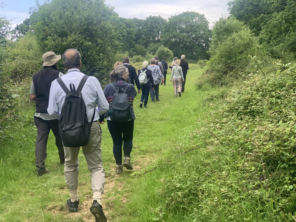 Therapeutic Connection