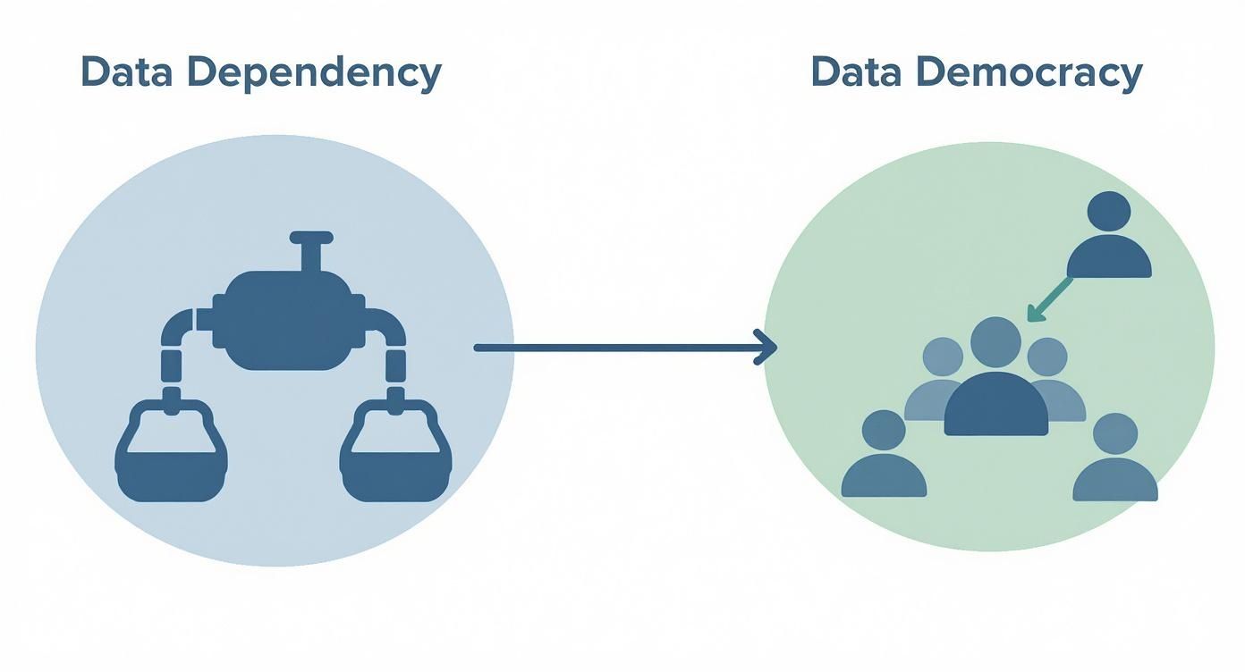 Infographic about self service reporting tools