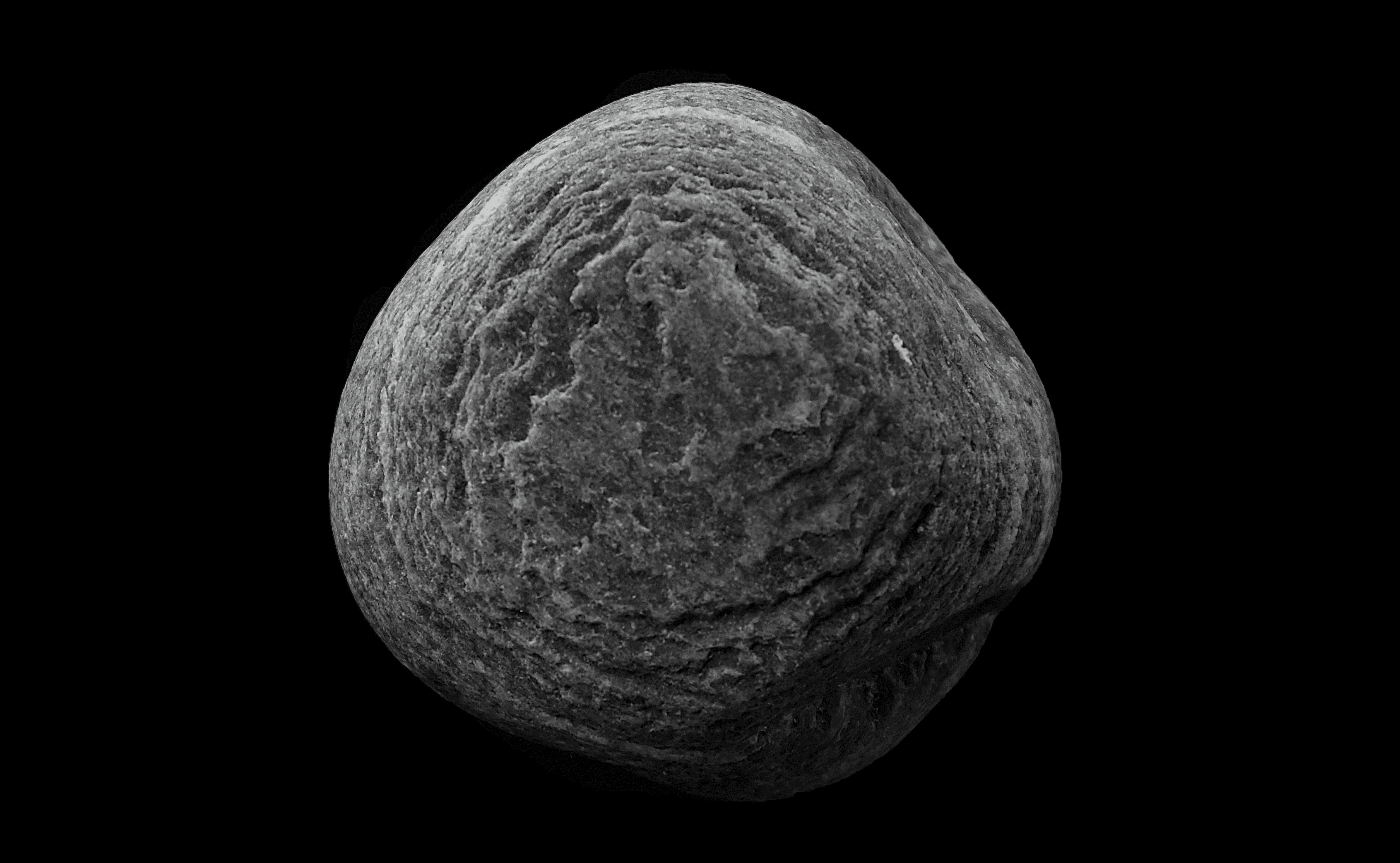 gray moon in black background