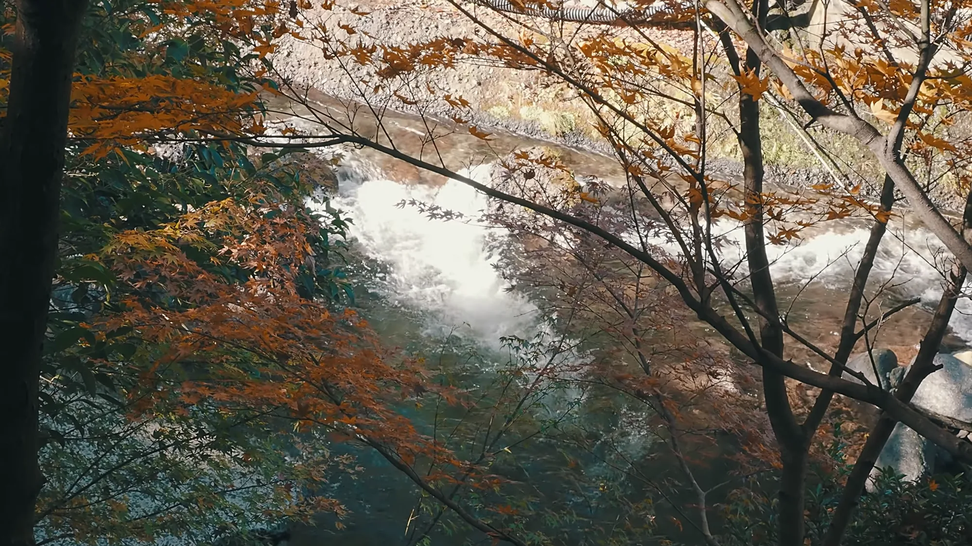 Rapids at Kurokawa Onsen seen through autumn branches