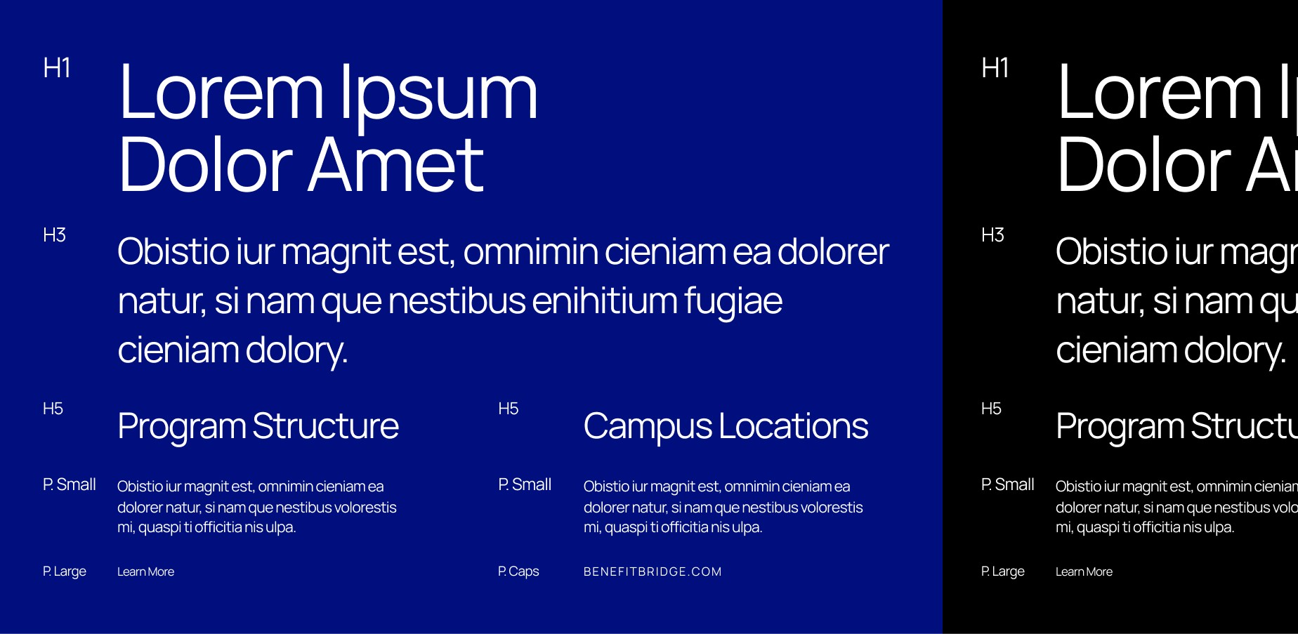 Modern typography system for financial technology brand