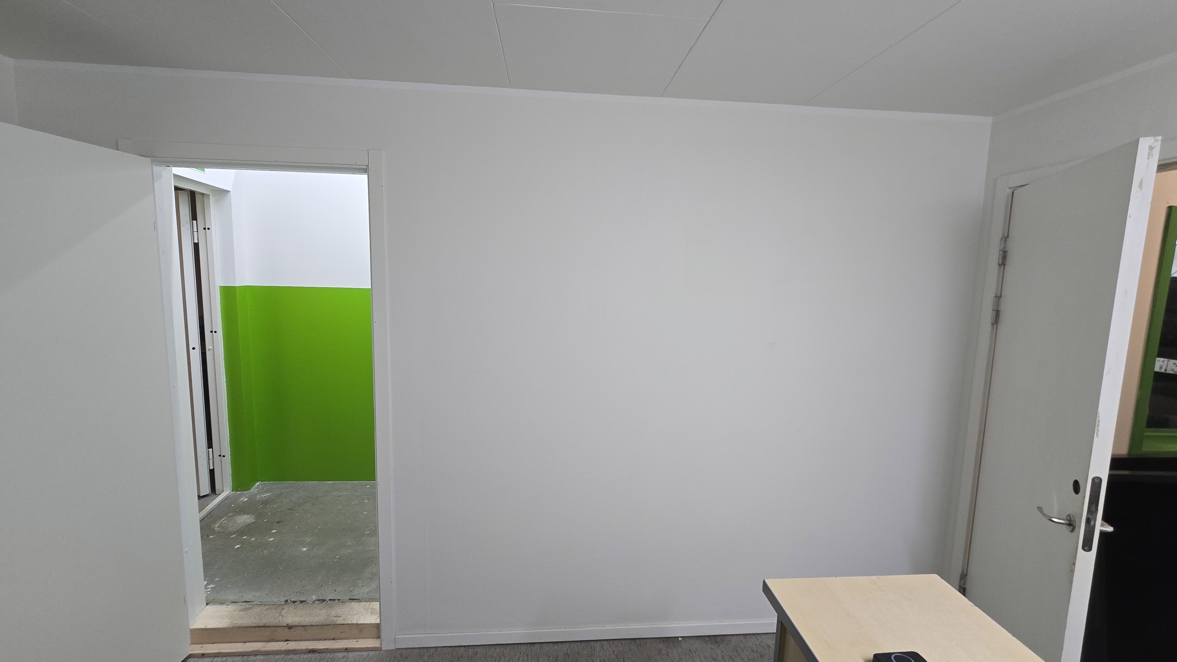 Single tree in a field with light rays.