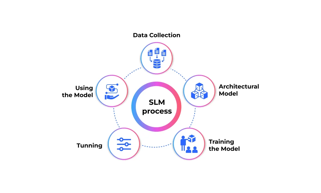 Small Language Models (SLMs) process