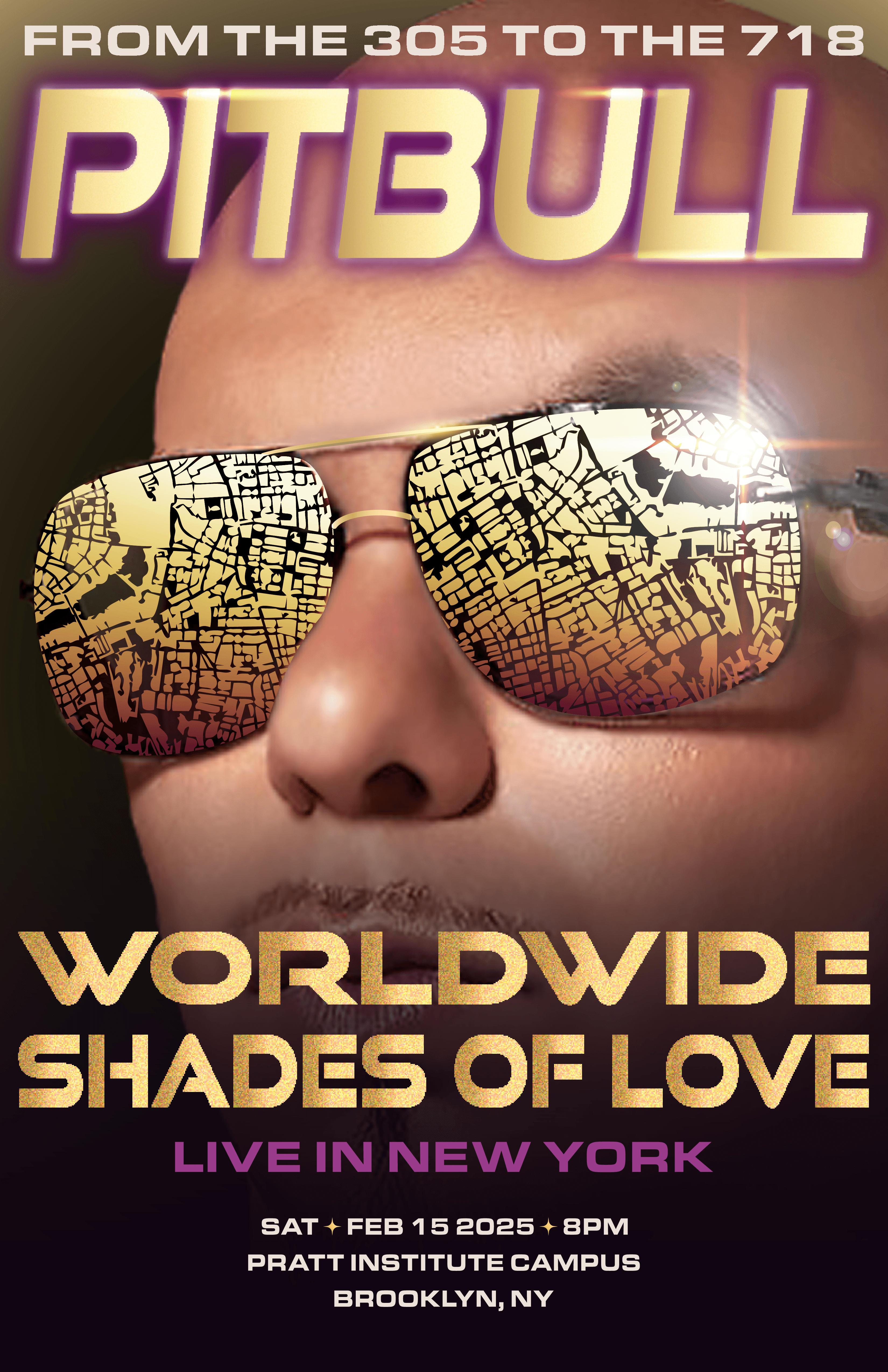 Pitbull Concert Poster