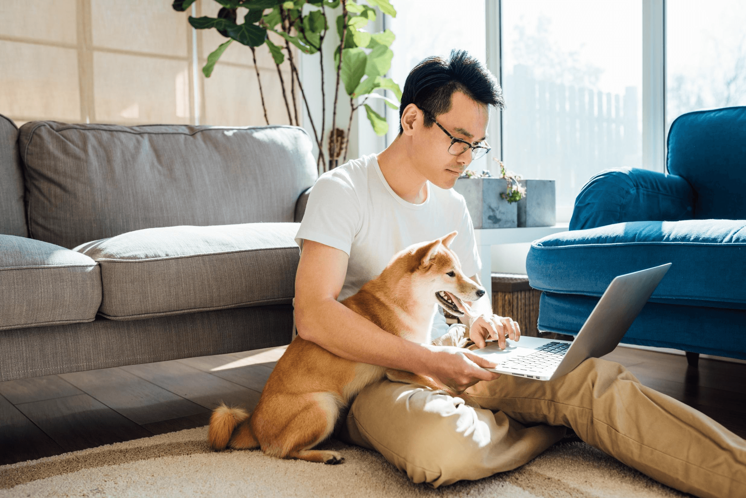 Image of a small dog and its owner sitting and looking at a laptop
