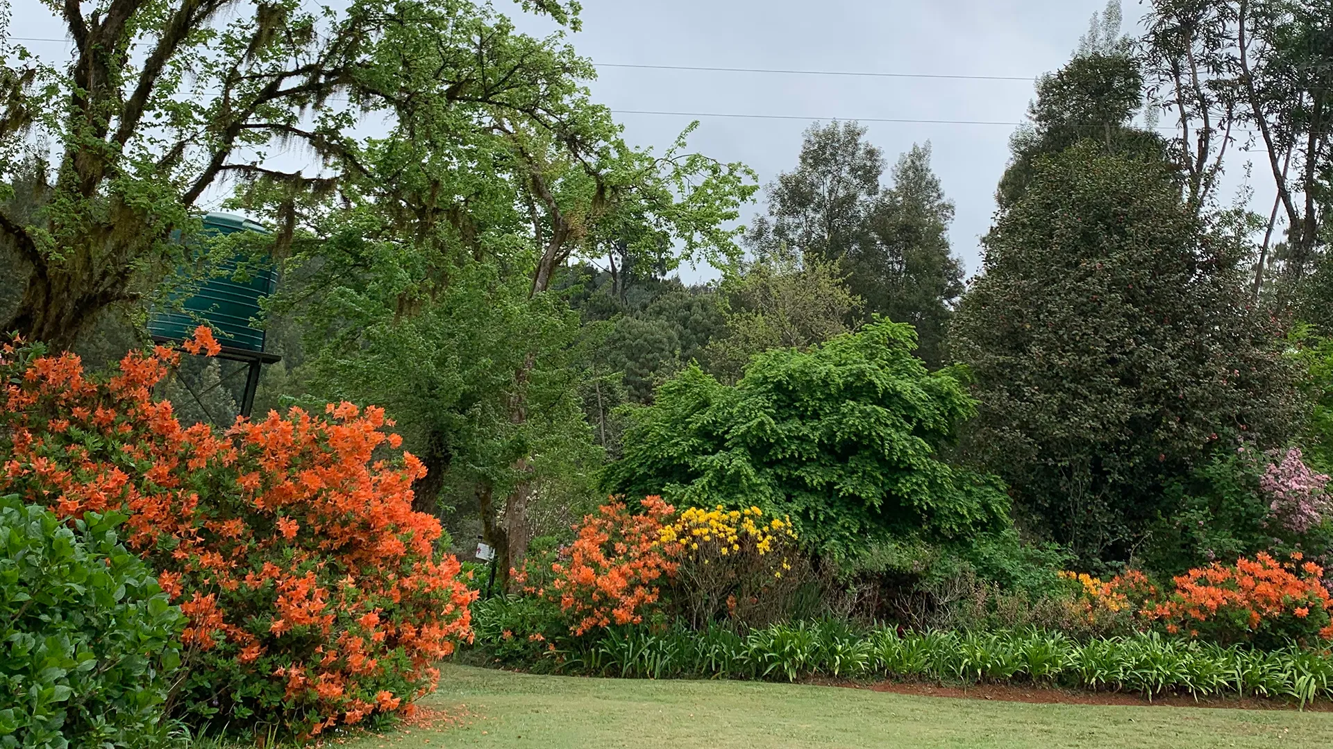 Kuhestan Retreat Centre Gardens
