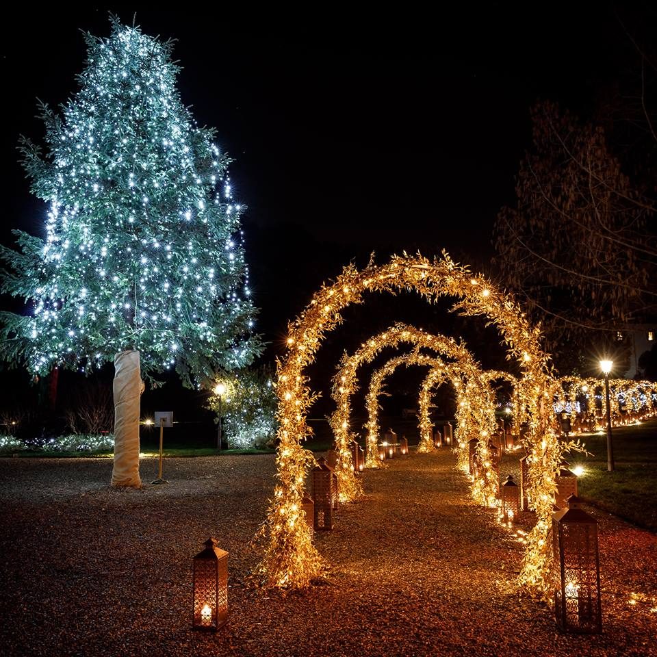 Proyecto 33 · NAVIDAD Y LUZ DECORATIVA · Ledilux