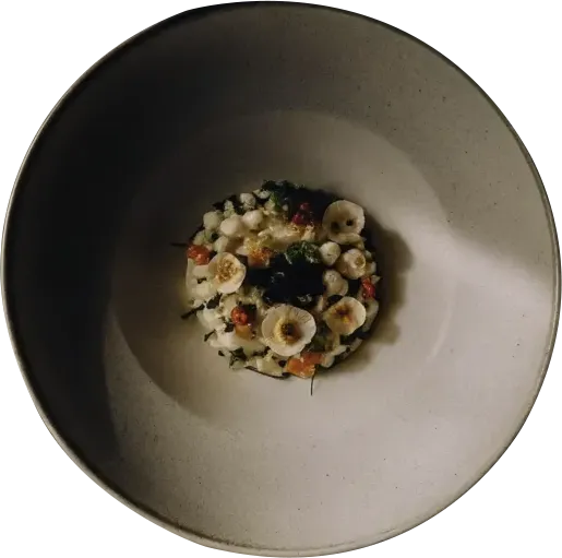 Citrus Cured Scallop Tartare