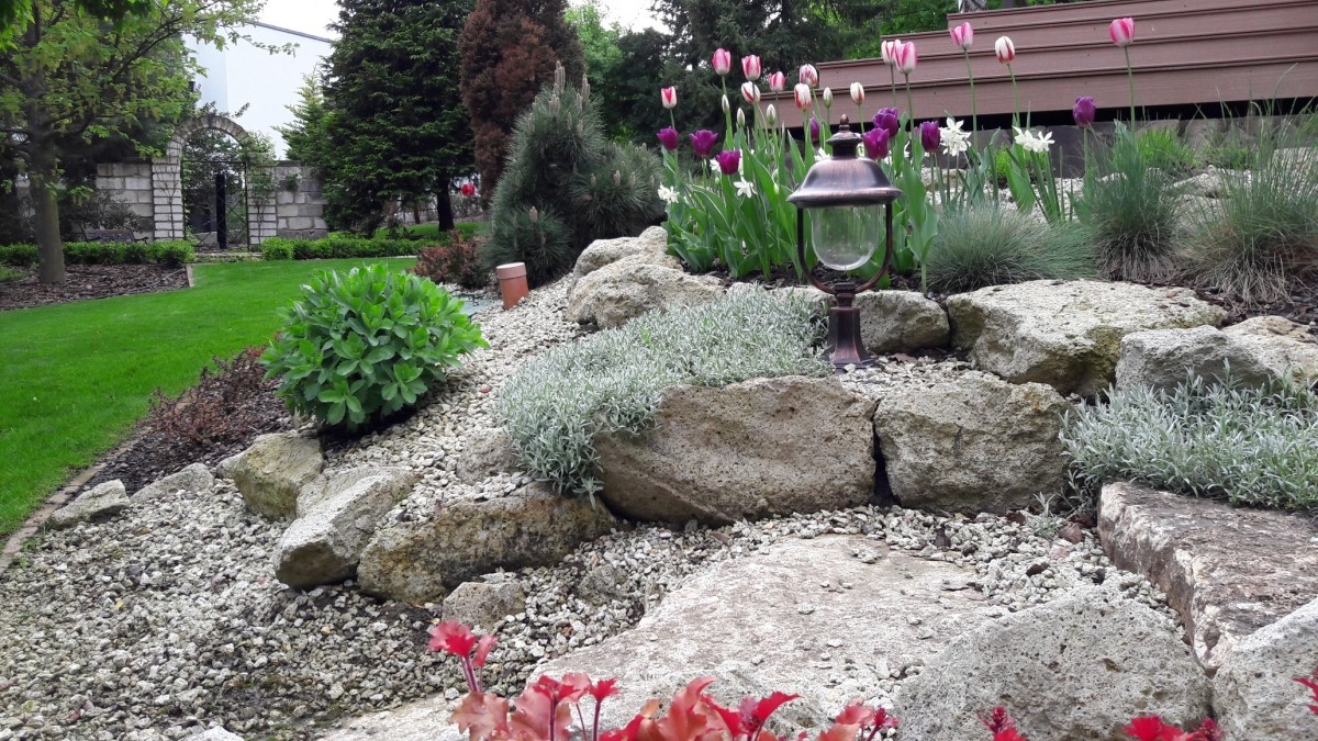 Kertépítés díszfákkal és sziklakerttel Miskolcon