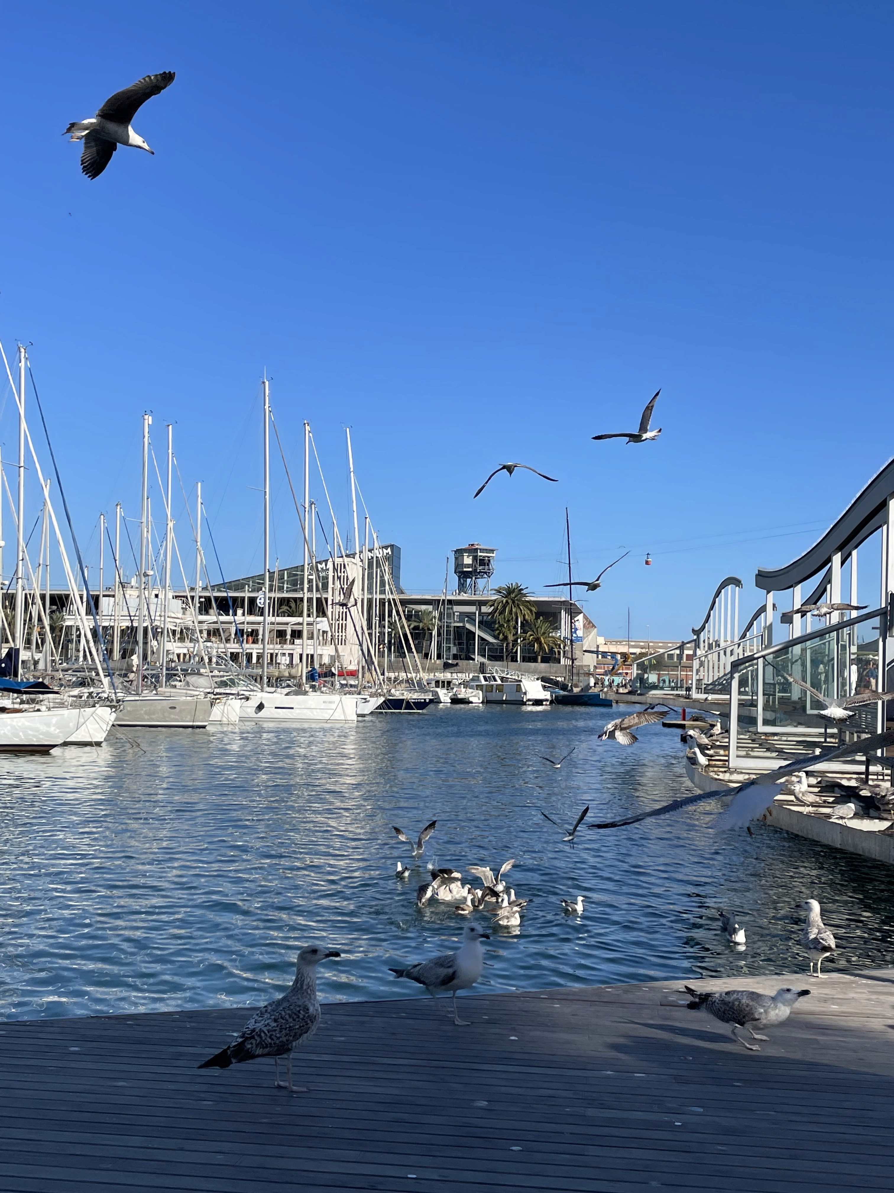 white umbrella on seashore
