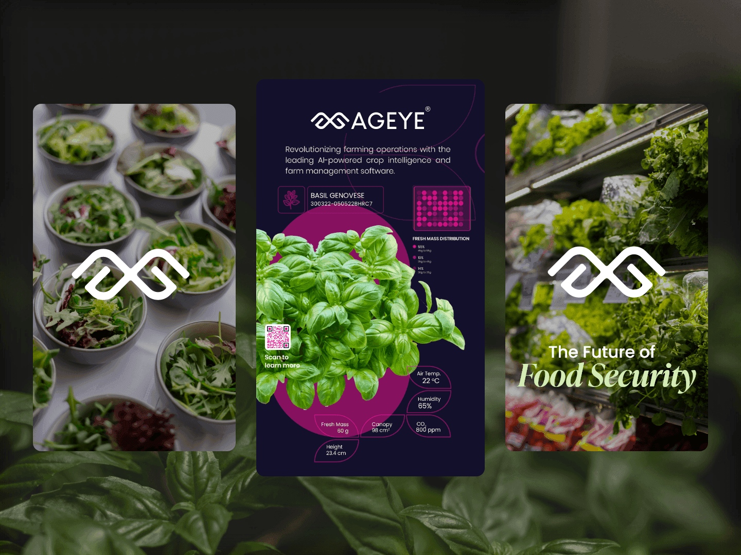 AGEYE : growing beyond technology
