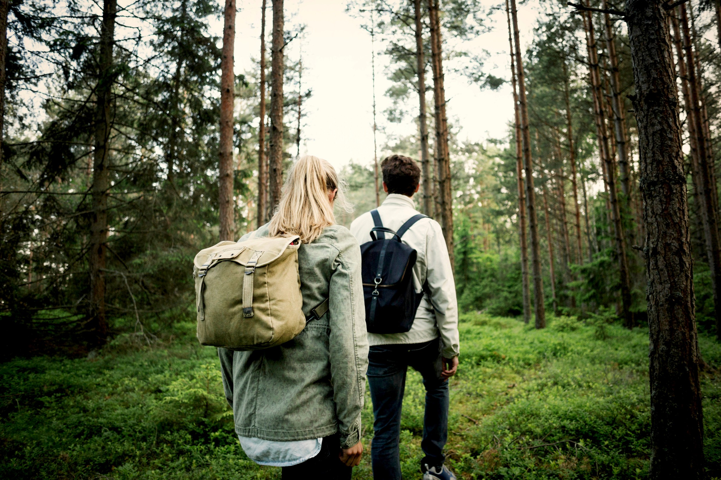 Two people walking through the forest