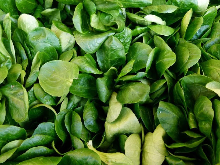 two people looking at a tablet and smiling
