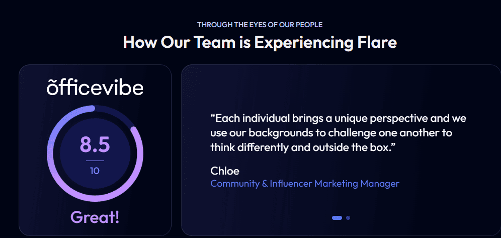 Marketing Spotlight: Flare Marketing Strategy Future Plans and Growth Indicators