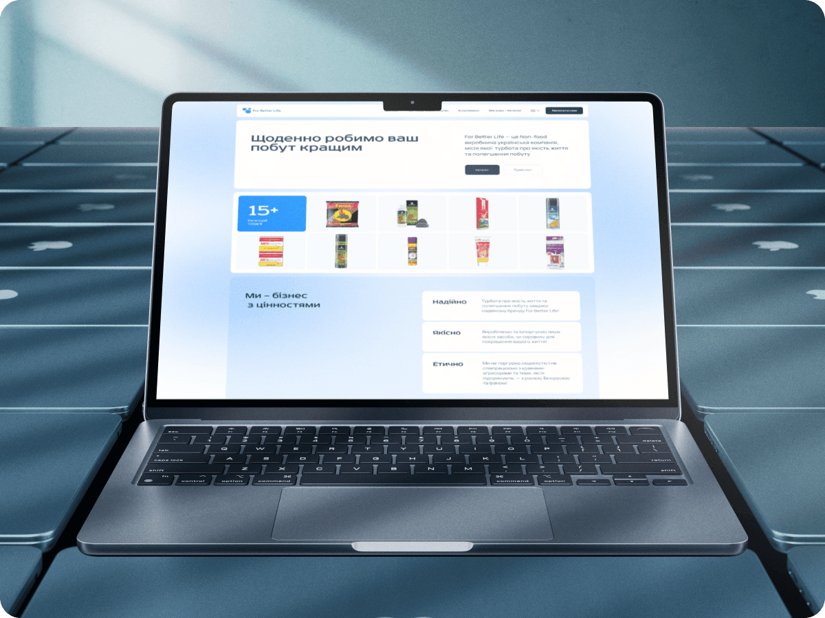 eCommerce website development for a non-food products company