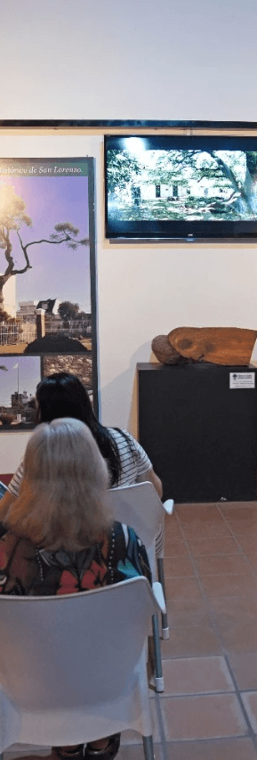 Portrait of a laughing person with curly hair wearing a white shirt