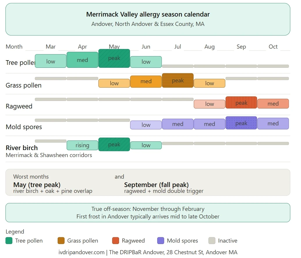 Merrimack Valley Andover MAAllergy