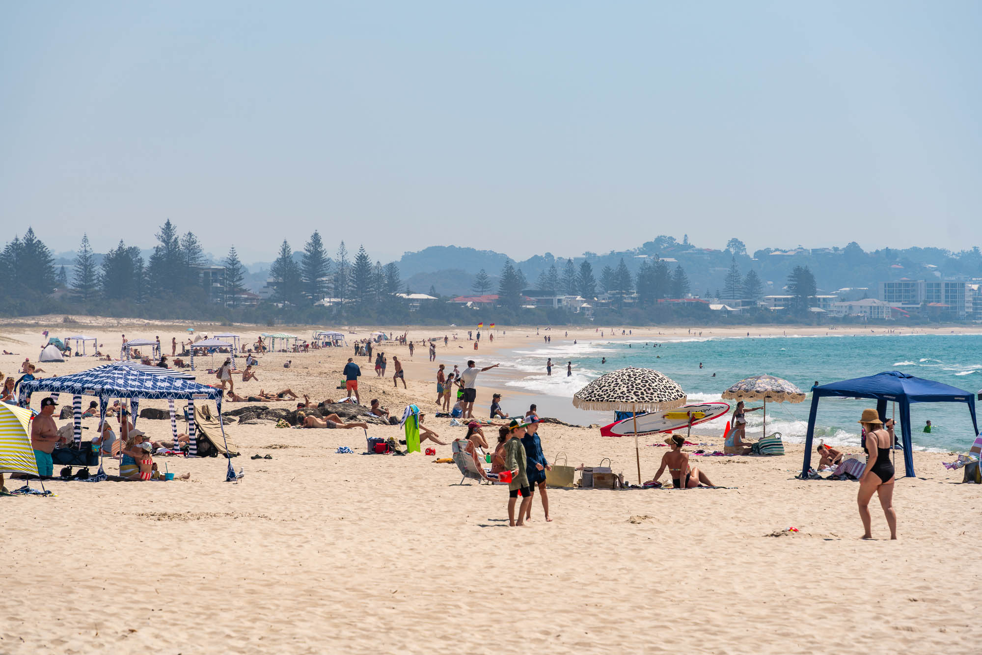 a black female model