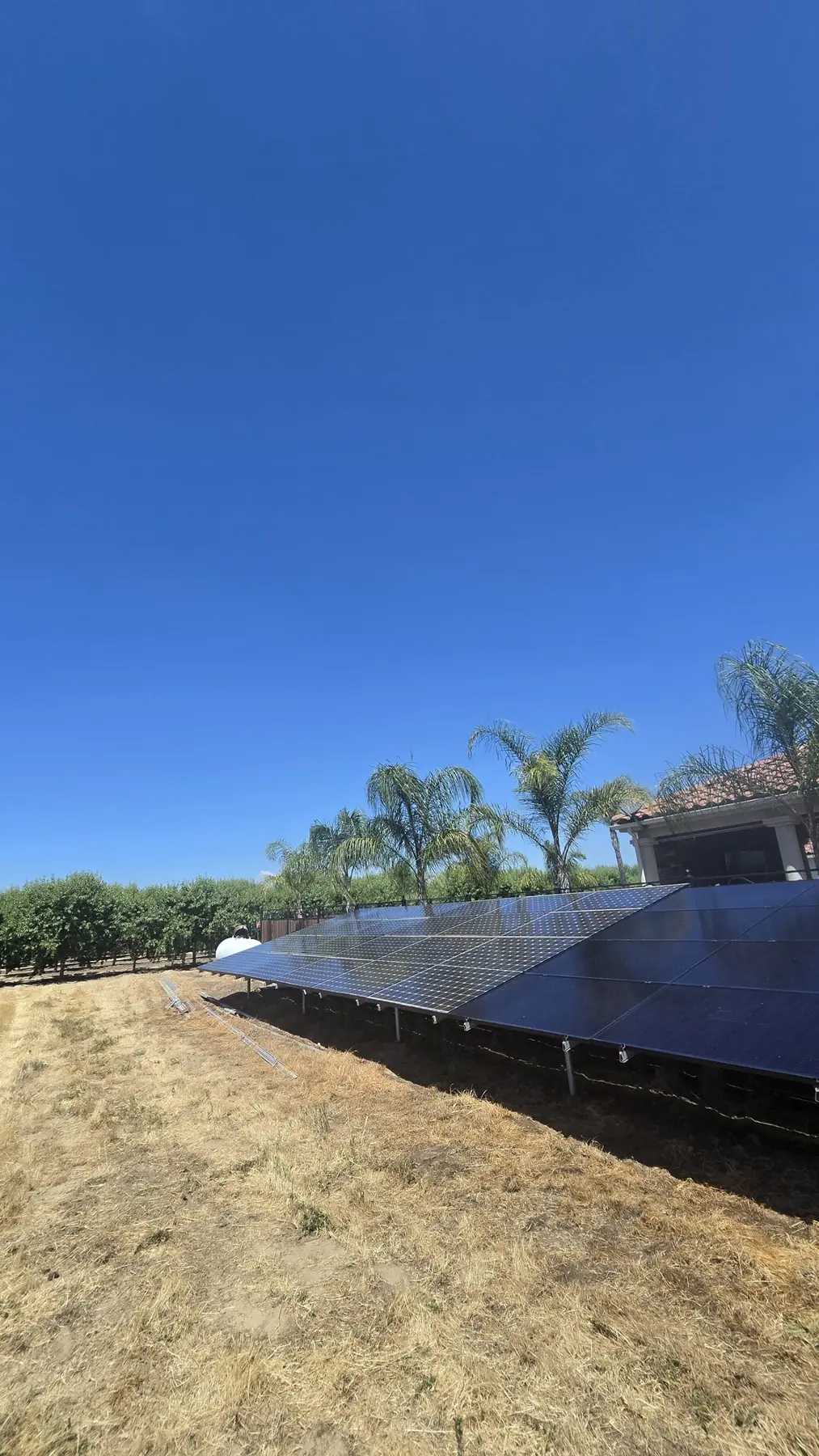 Ground-mount solar array with palm trees under a clear sky | Premier Solar Service, serving Central Valley, CA