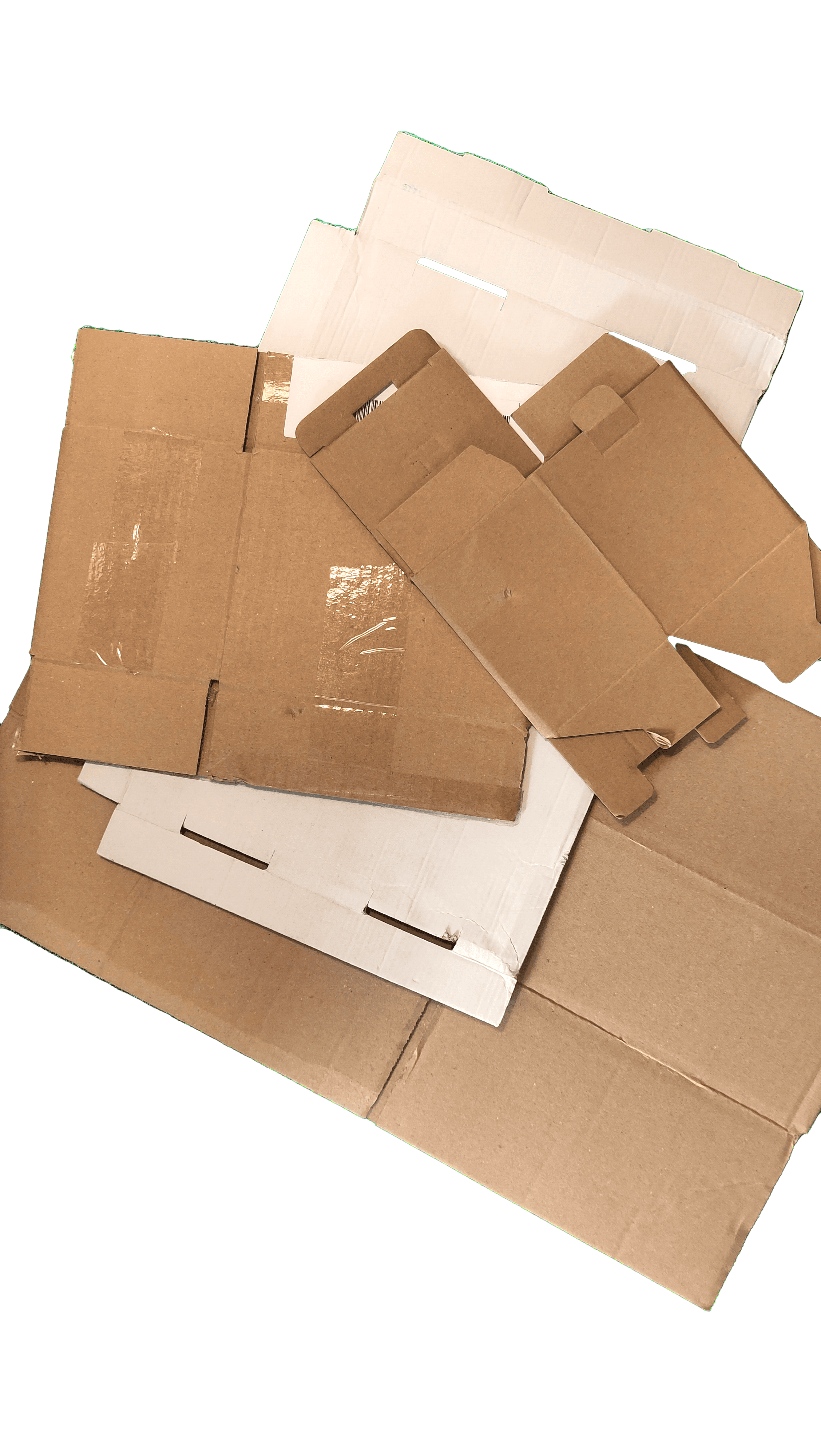 Dozen karton