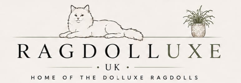 Ragdolluxe