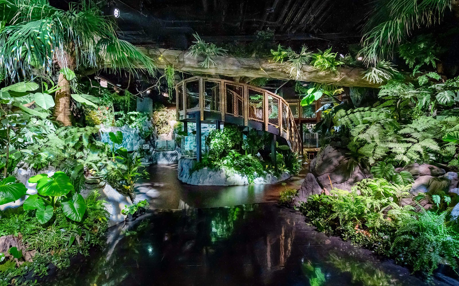 Εσωτερικός τροπικός κήπος με πλούσια βλάστηση και ξύλινο διάδρομο στο ενυδρείο DMM Kariyushi.
