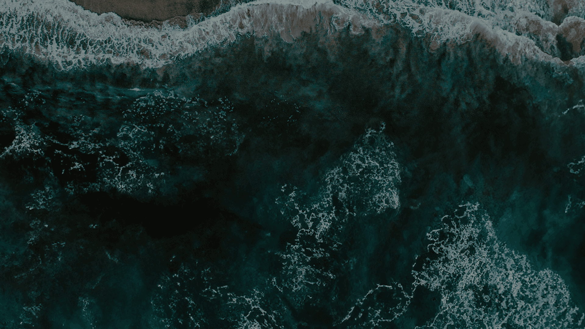 Sable Bio homepage redesign