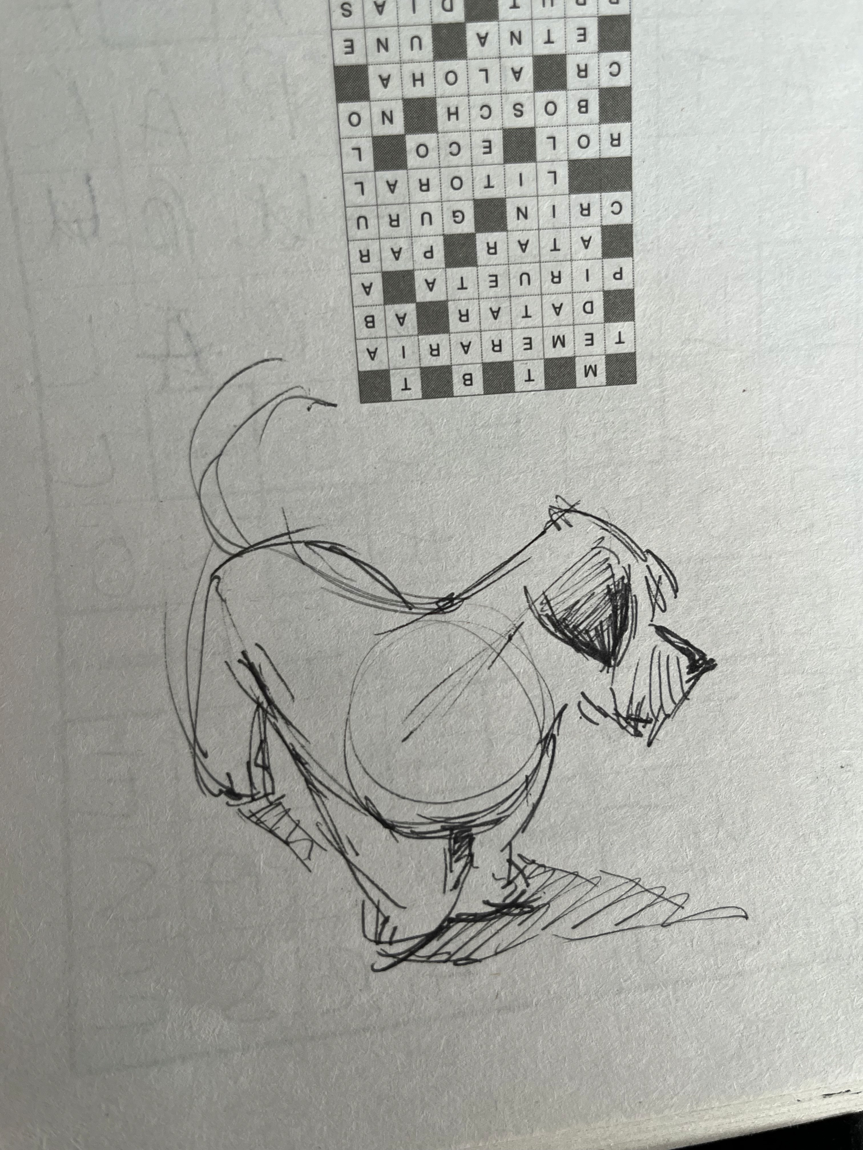 The image featured at the top of the about us page #2