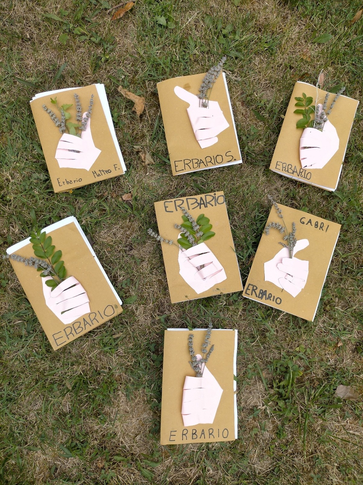 yellow and red tomatoes on green plastic crate