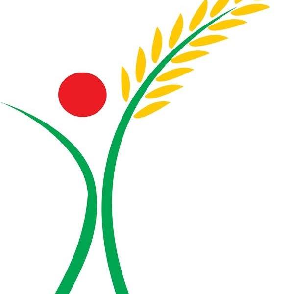 Nutridense Food