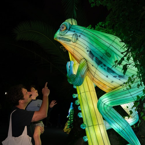 法尼亞自然公園：馬德里布里拉法尼亞門票