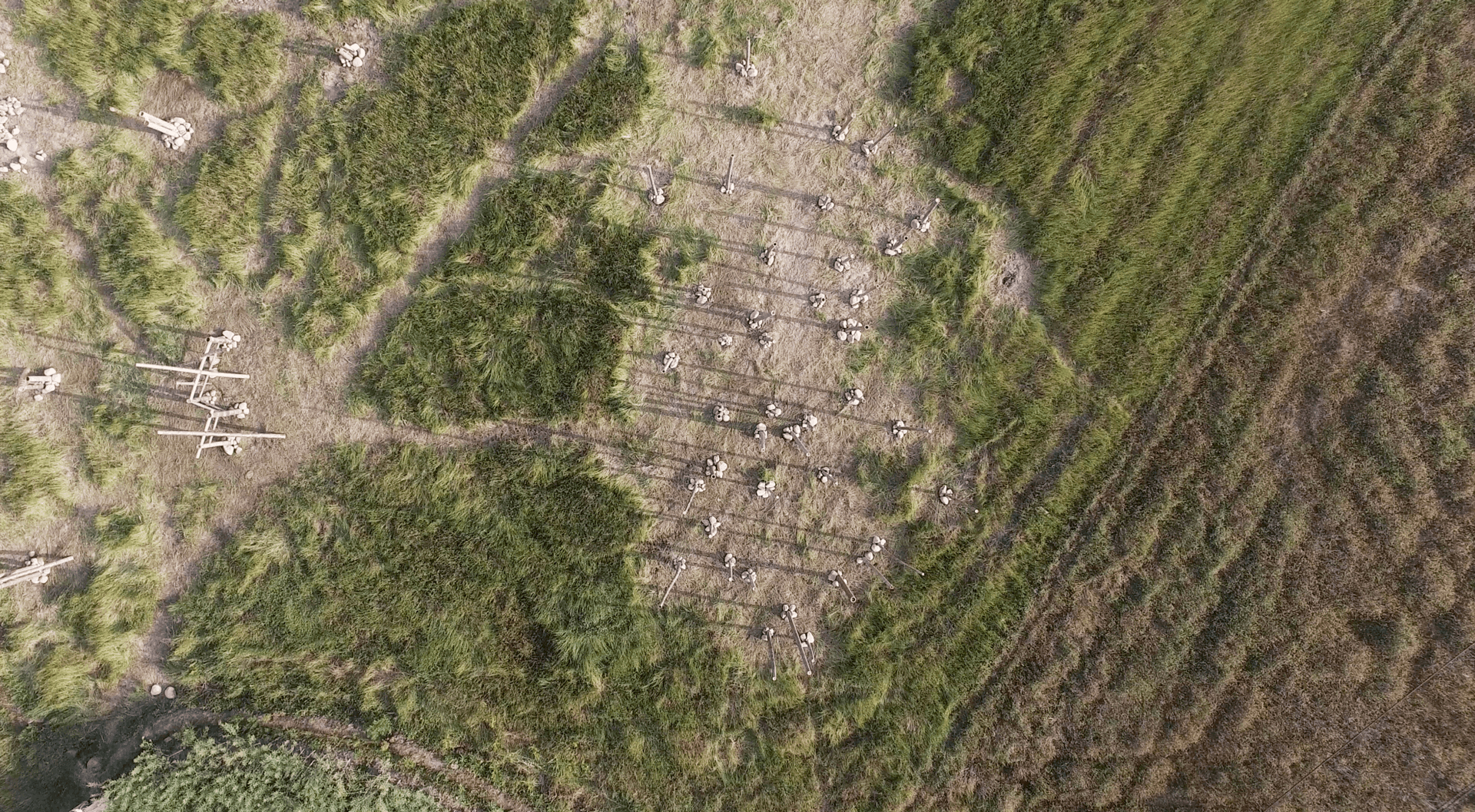 bamboo art installation in a field, seen from above