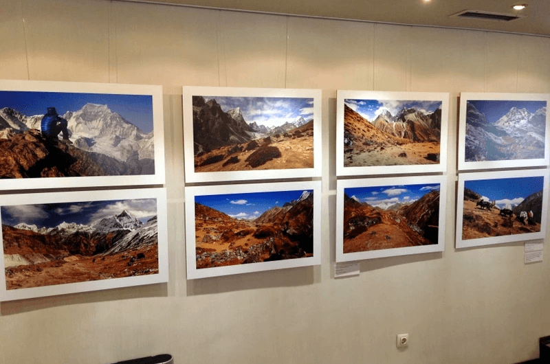 Photosynthesis photography display