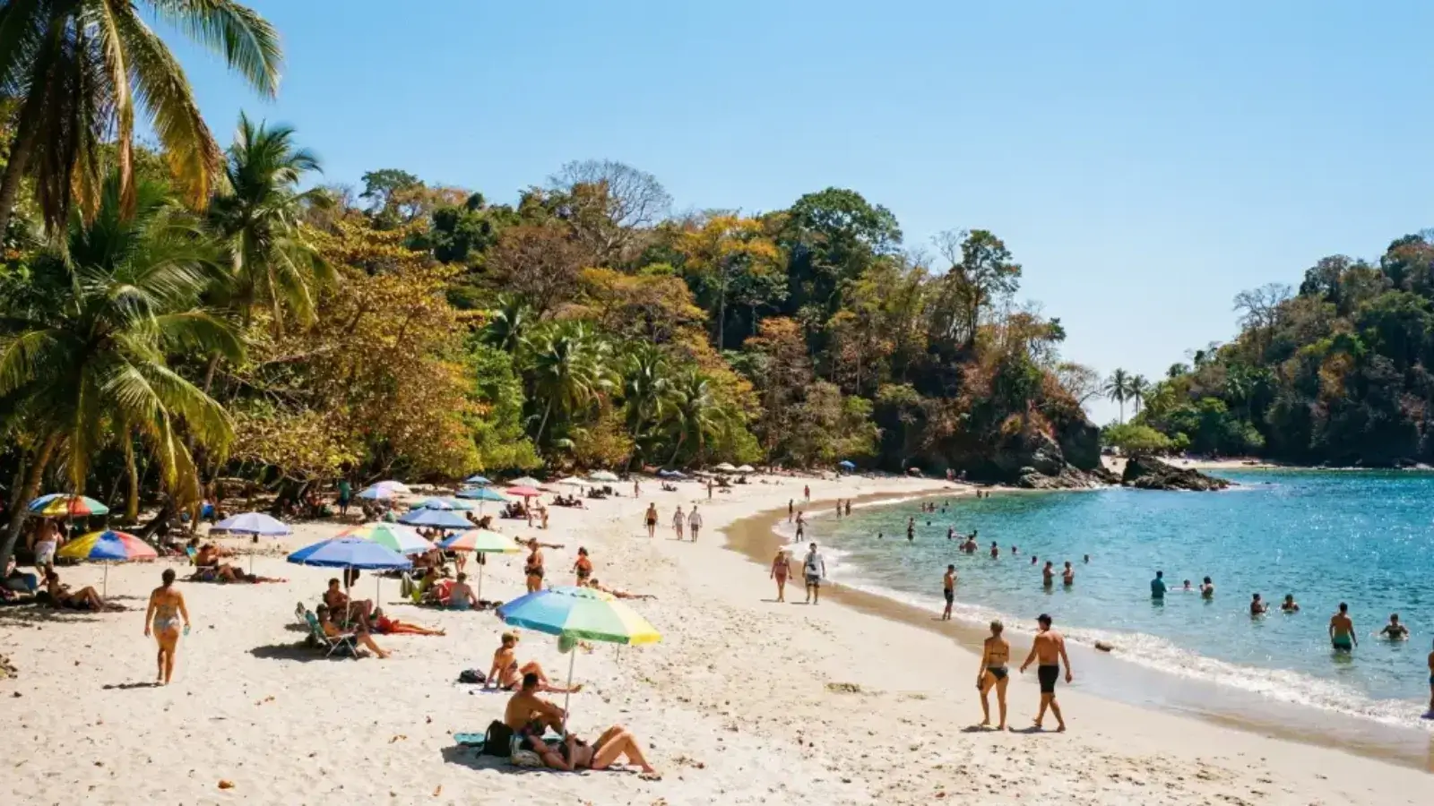 Costa Rica Travel Guide 2026