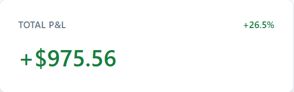 Screenshot of "total Proft and loss" on dashboard