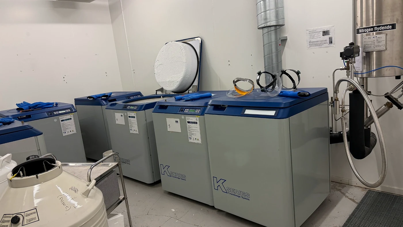 Liquid nitrogen and cold storage infrastructure