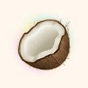 Coconote logo