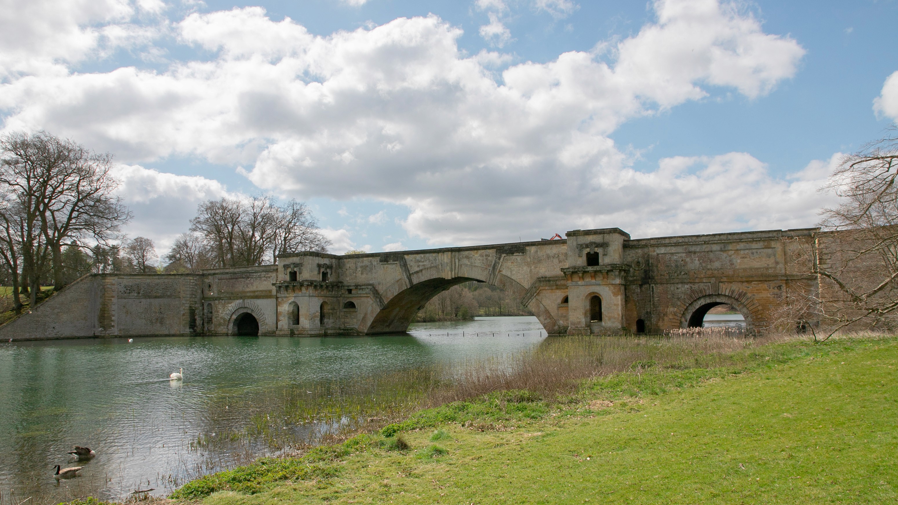 Two classic volkswagen beetles, one green, one cream.