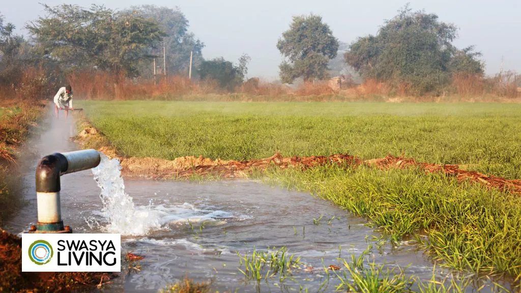  Importance of Water Management in Agriculture
