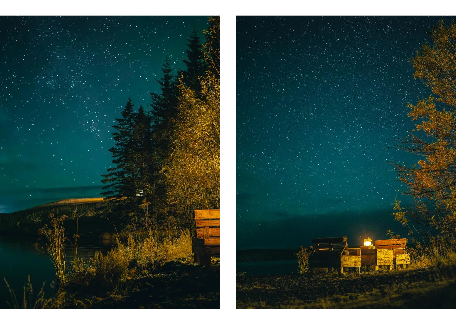 Trees lit warm against a starry sky at the lake's edge, and the lakeside seats with a glowing lantern under the stars