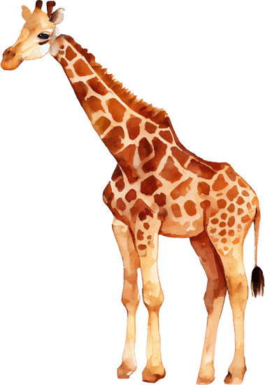 Giraffe Watercolor Illustration